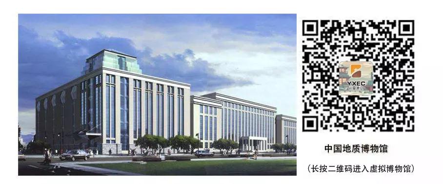 巖星建設(shè)丨線上博物館,感受不一樣的傳承插圖(1) 巖星建設(shè)丨線上博物館,感受不一樣的傳承插圖(1)