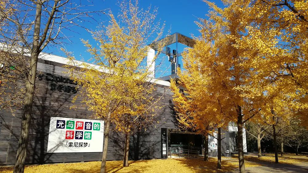 一周一館 | “索尼探夢(mèng)”科技館插圖