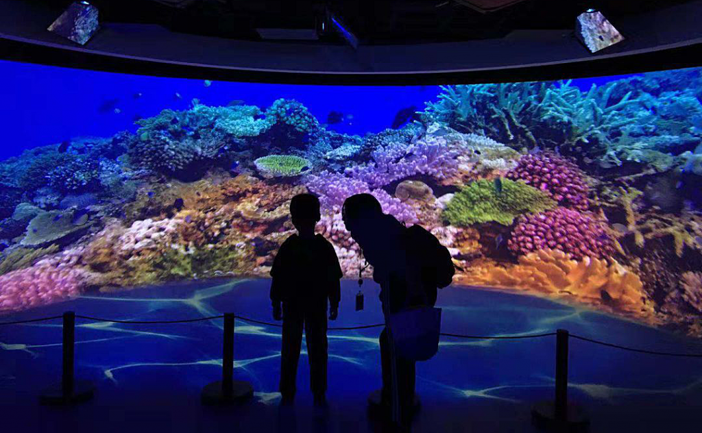 一周一館 | “索尼探夢(mèng)”科技館插圖(13)