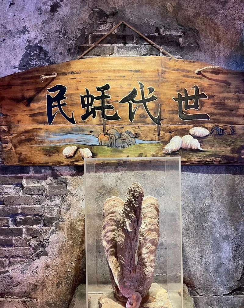 巖星特刊 ｜深圳超級文和友，“城市博物館”的擴(kuò)張之路插圖(4)