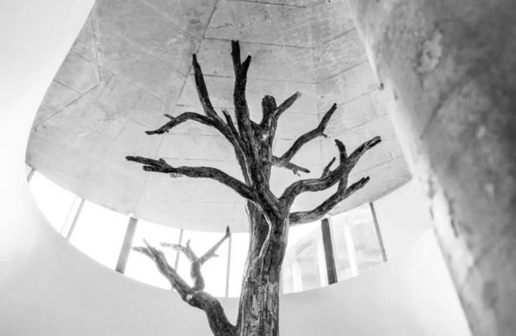 隈研吾設計安徒生博物館開幕，重新演繹丹麥童話插圖(30)