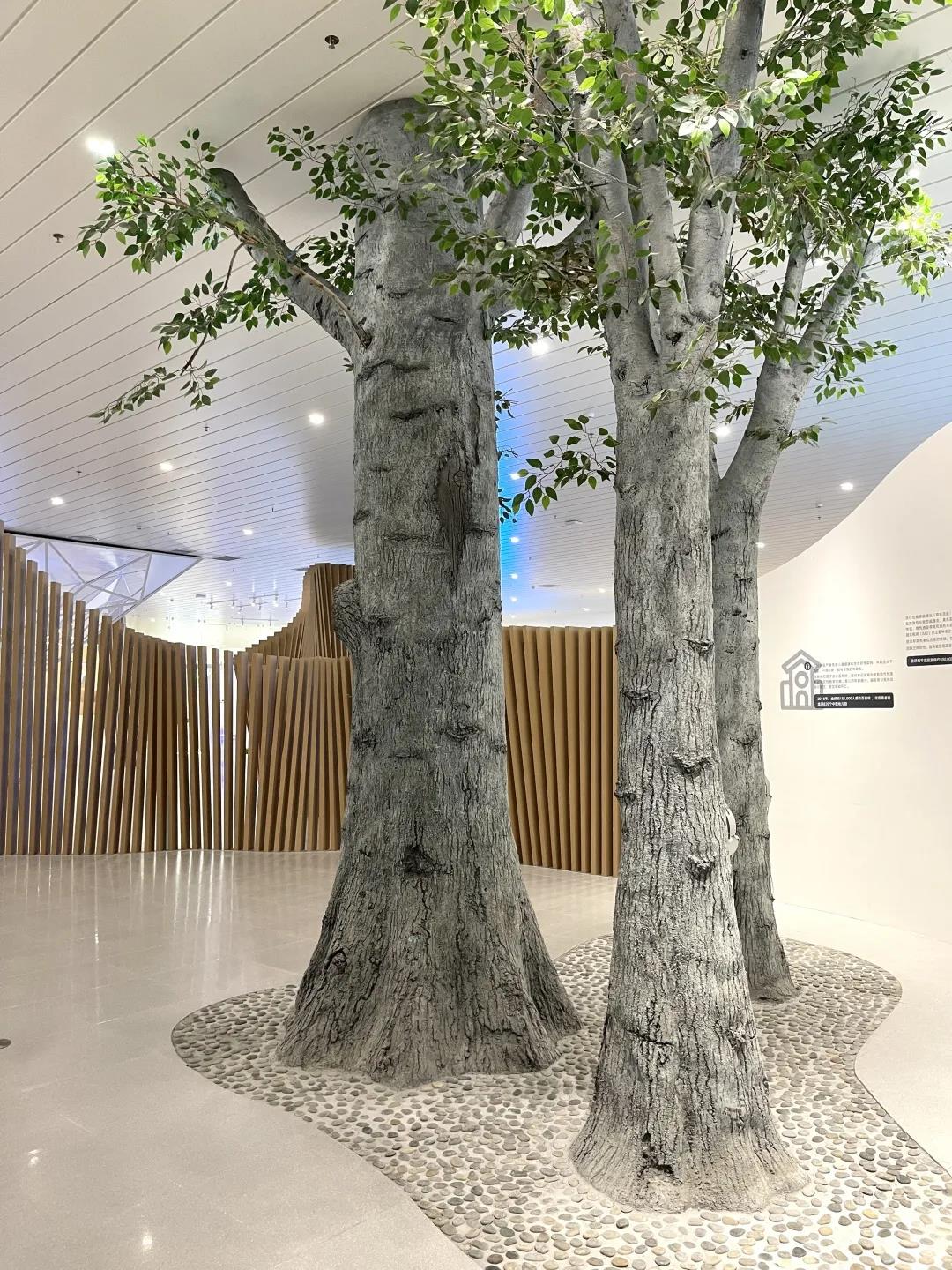 巖星特刊 | “疫苗博物館”，透過歷史切片見證偉大事業插圖(5)