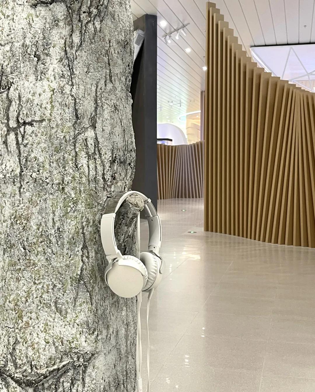 巖星特刊 | “疫苗博物館”，透過歷史切片見證偉大事業插圖(6)